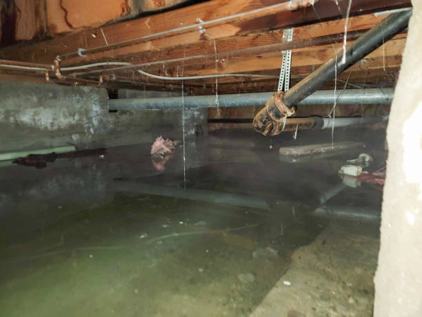 Best Water damage restoration services  in Richnd, MO