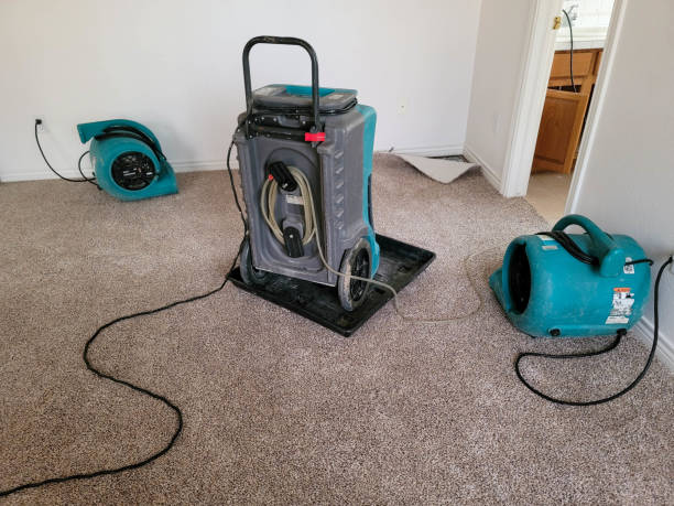 Best Water damage cleanup near me  in Richnd, MO