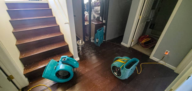 Best Carpet water damage restoration  in Richnd, MO