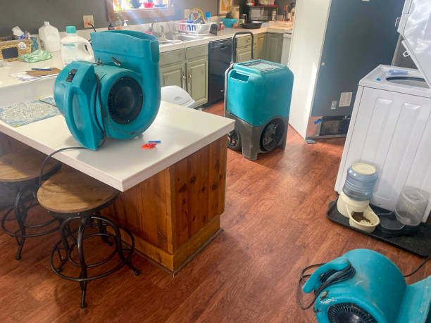 Best Residential water damage restoration  in Richnd, MO