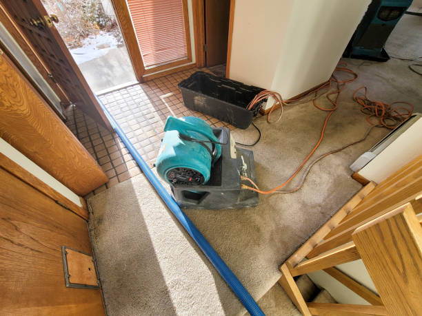 Water damage restoration mold remediation in Richmond, MO