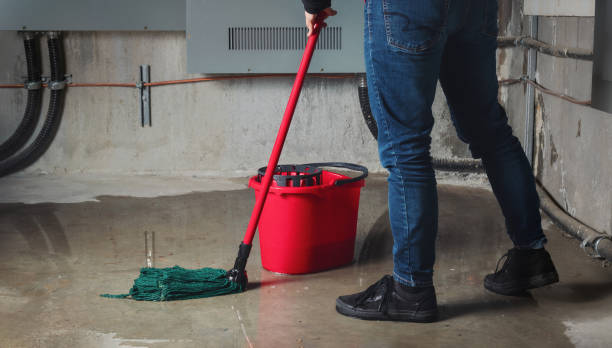 Best Flooded house restoration  in Richnd, MO