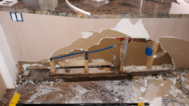 Best Water damage restoration near me  in Richnd, MO