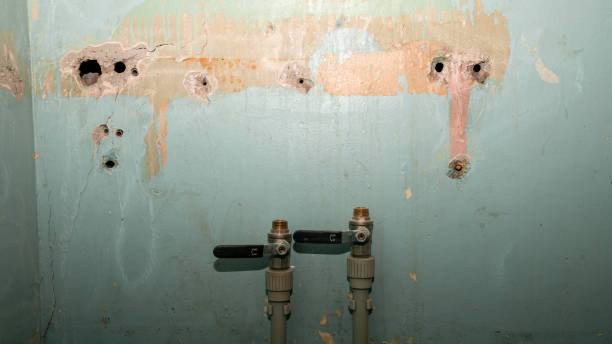 Trusted Richmond, MO Water damage restoration Experts