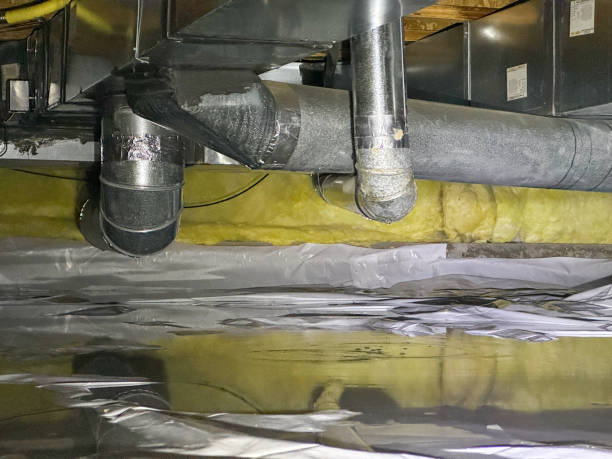 Best Fire Damage Restoration  in Richnd, MO