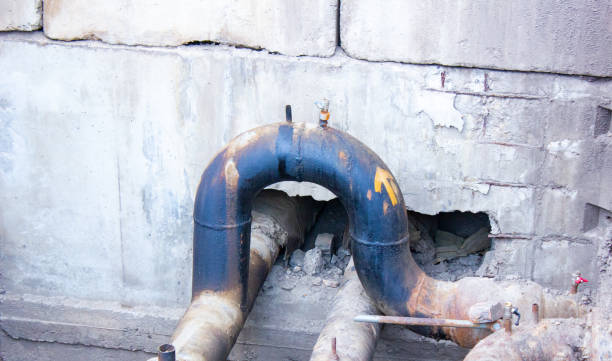 Best Mold removal after water damage  in Richnd, MO