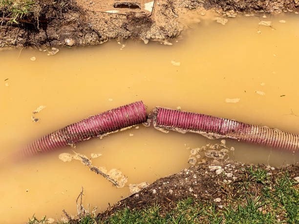 Best Water damage contractors near me  in Richnd, MO