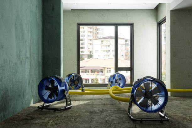 Best Carpet water damage restoration  in Richnd, MO